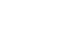 Recent  Exhibition